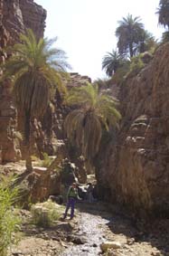 DeadSea.0138.jpg