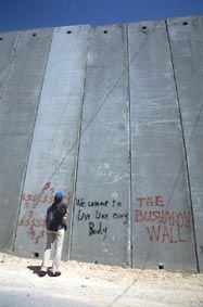 pal.wall029.jpg